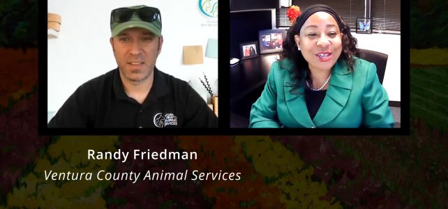 Randy Friedman, Ventura County Animal Services